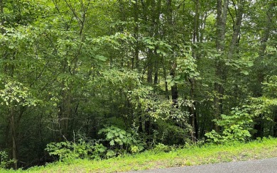 Lake Chatuge Lot For Sale in Hiawassee Georgia