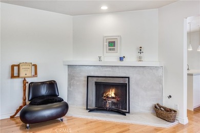 Captivating ?Ocean and Catalina Island views await you in this - photo 9