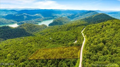 (private lake, pond, creek) Acreage For Sale in New Tazewell Tennessee