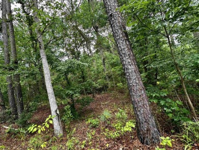 Lake Lot For Sale in Hemphill, Texas