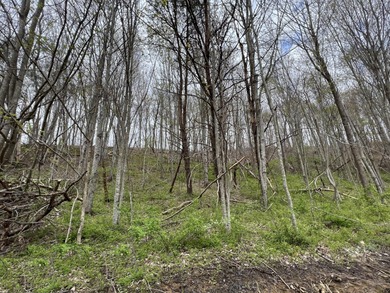 (private lake, pond, creek) Lot For Sale in London Kentucky