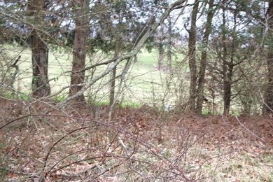 **Beautiful Country Land Just 45 Minutes from Nashville!** A - photo 11