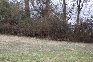 **Beautiful Country Land Just 45 Minutes from Nashville!** A - photo 12