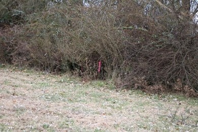 **Beautiful Country Land Just 45 Minutes from Nashville!** A - photo 13