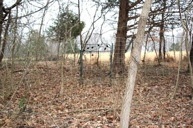 **Beautiful Country Land Just 45 Minutes from Nashville!** A - photo 14