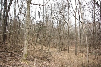 **Beautiful Country Land Just 45 Minutes from Nashville!** A - photo 15