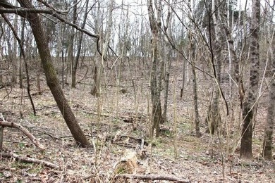 **Beautiful Country Land Just 45 Minutes from Nashville!** A - photo 16