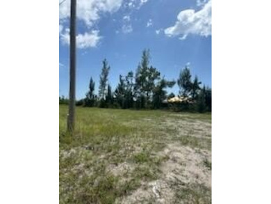 Waterfront lot in the rapidly growing NW Cape Coral corridor! - photo 8