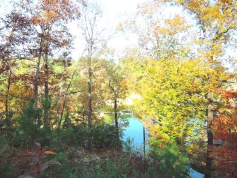 UNRESTRICTED ACREAGE ON THE LAKE! - Lake Acreage For Sale in Double Springs, Alabama
