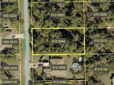 Lehigh Acres Area Lot For Sale in Lehigh Acres Florida