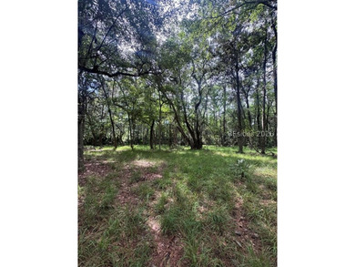 This .46 acre lot is located in Melrose on Daufuskie Island on a - photo 1