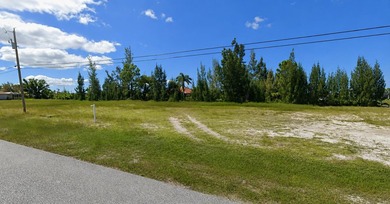 Build your dream home on this oversized freshwater canal lot in - photo 1