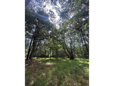 This .46 acre lot is located in Melrose on Daufuskie Island on a - photo 2