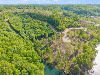 LAKE FRONT BUILDING LOT ON WOOD CREEK LAKE - photo 18