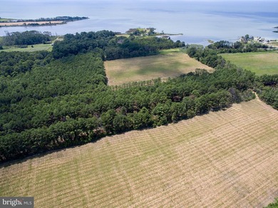 (private lake, pond, coastal) Acreage For Sale in Taylors Island Maryland