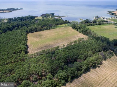Additional listing photo 2