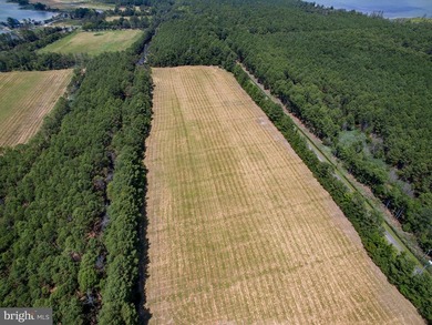 Additional listing photo 3