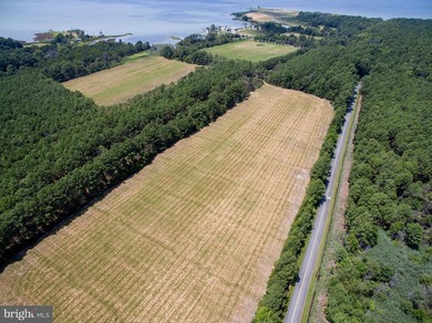 Additional listing photo 4