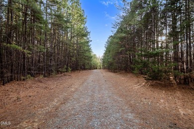 10.75 ACRES WITH ACCESS TO MAYO LAKE AND NO RESTRICTIVE - photo 11