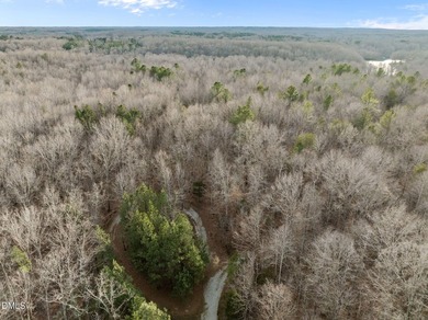 10.75 ACRES WITH ACCESS TO MAYO LAKE AND NO RESTRICTIVE - photo 12