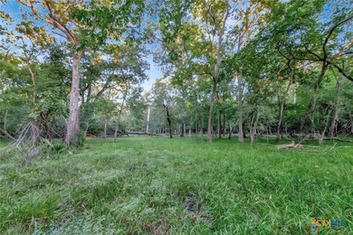Discover your own piece of Texas paradise on this extraordinary - photo 13