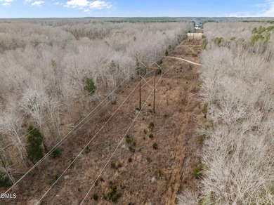 10.75 ACRES WITH ACCESS TO MAYO LAKE AND NO RESTRICTIVE - photo 13