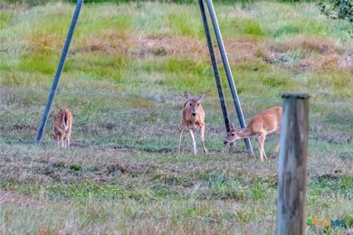 Discover your own piece of Texas paradise on this extraordinary - photo 14