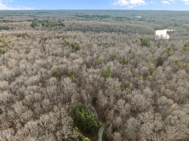10.75 ACRES WITH ACCESS TO MAYO LAKE AND NO RESTRICTIVE - photo 14