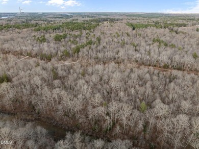 10.75 ACRES WITH ACCESS TO MAYO LAKE AND NO RESTRICTIVE - photo 15