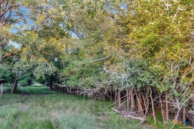 Discover your own piece of Texas paradise on this extraordinary - photo 16