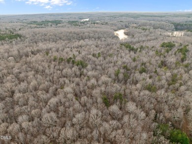 10.75 ACRES WITH ACCESS TO MAYO LAKE AND NO RESTRICTIVE - photo 16