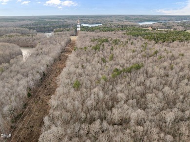 10.75 ACRES WITH ACCESS TO MAYO LAKE AND NO RESTRICTIVE - photo 17