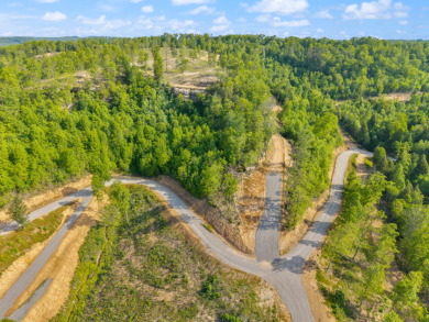 LAKE FRONT BUILDING LOT ON WOOD CREEK LAKE - photo 15