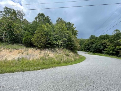 Lake Acreage For Sale in New Tazewell, Tennessee