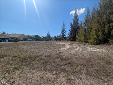 Stunning oversized quarter acre waterfront lot. City water and - photo 9