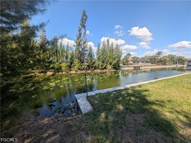 Stunning oversized quarter acre waterfront lot. City water and - photo 10