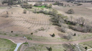Come build your custom, dream home on this gorgeous, 4.40 acre - photo 2