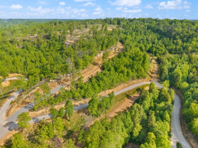 LAKE FRONT BUILDING LOT ON WOOD CREEK LAKE - photo 14