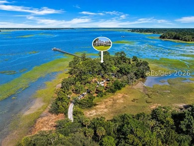 A Legacy Lowcountry Property Hidden in Plain Sight. Some - photo 1