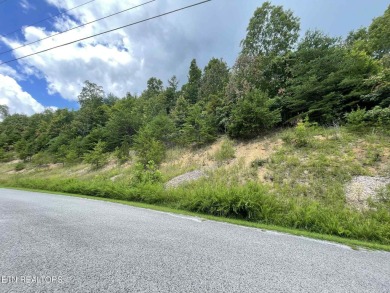 Lake Lot For Sale in New Tazewell, Tennessee