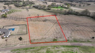 (private lake, pond, creek) Acreage Sale Pending in Flora Mississippi