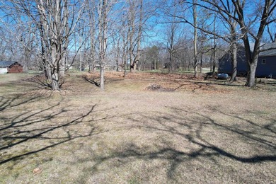 This Lake Shafer lot is a rare opportunity, offering 101' of - photo 8