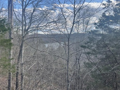WELCOME TO YOUR LAKE CUMBERLAND TREEHOUSE ESCAPE. - photo 7