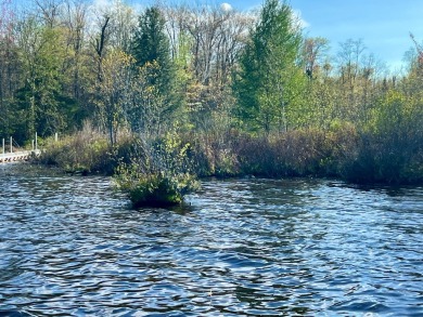 Lake Mohawksin Lot For Sale in Tomahawk Wisconsin