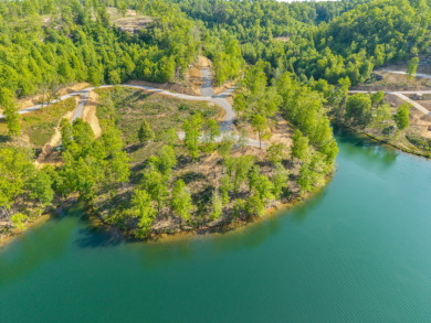 LAKE FRONT BUILDING LOT ON WOOD CREEK LAKE - photo 28