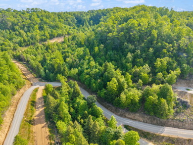 LAKE FRONT BUILDING LOT ON WOOD CREEK LAKE - photo 13