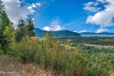 Lake Pend Oreille Acreage For Sale in Clark Fork Idaho