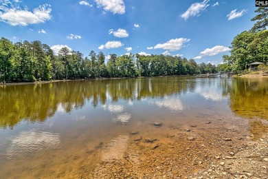 Resort-style living with endless staycations awaits on Lake - photo 14