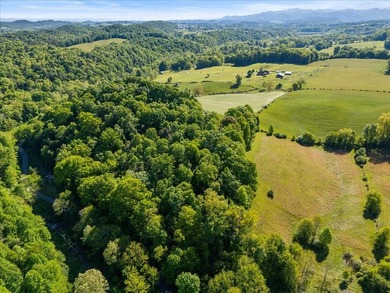 Extraordinary long-range mountain views, approximately 290 feet - photo 6