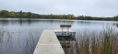 Looking for a secluded get-away, look no further.  3.10-acre - Lake Acreage For Sale in Effie, Minnesota